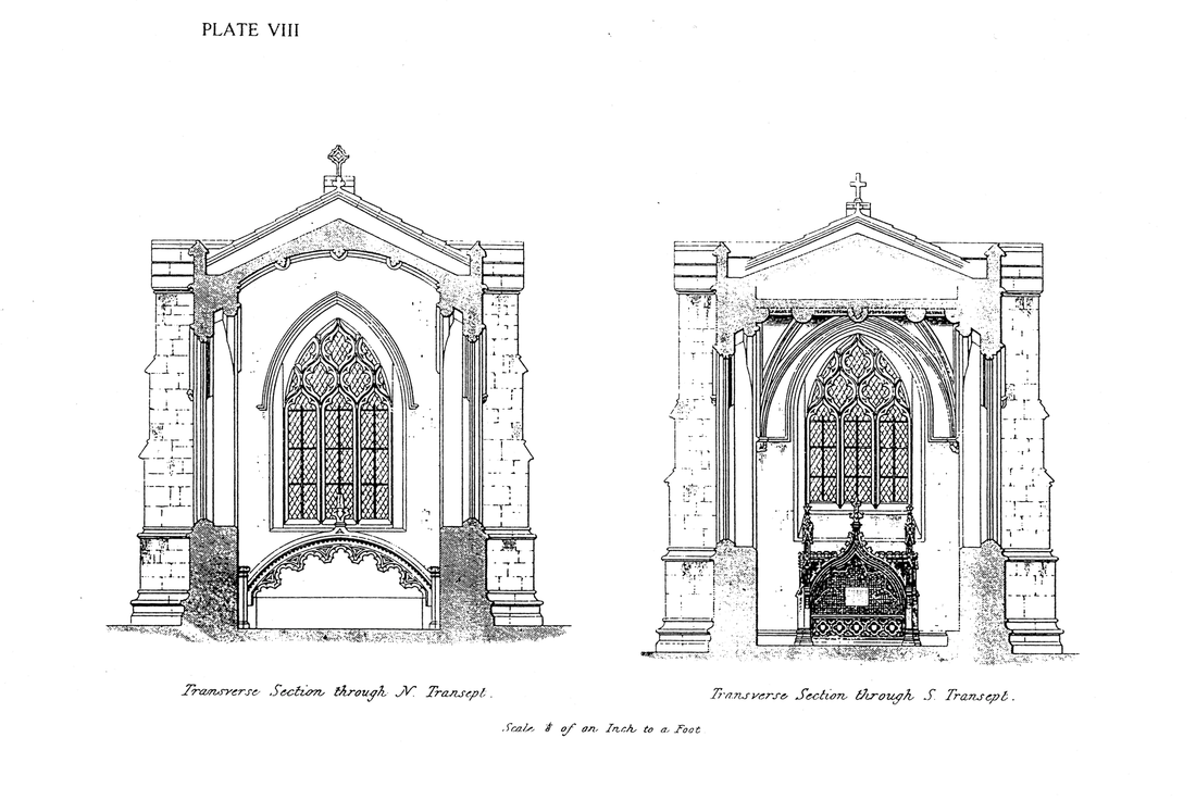 Plate-8